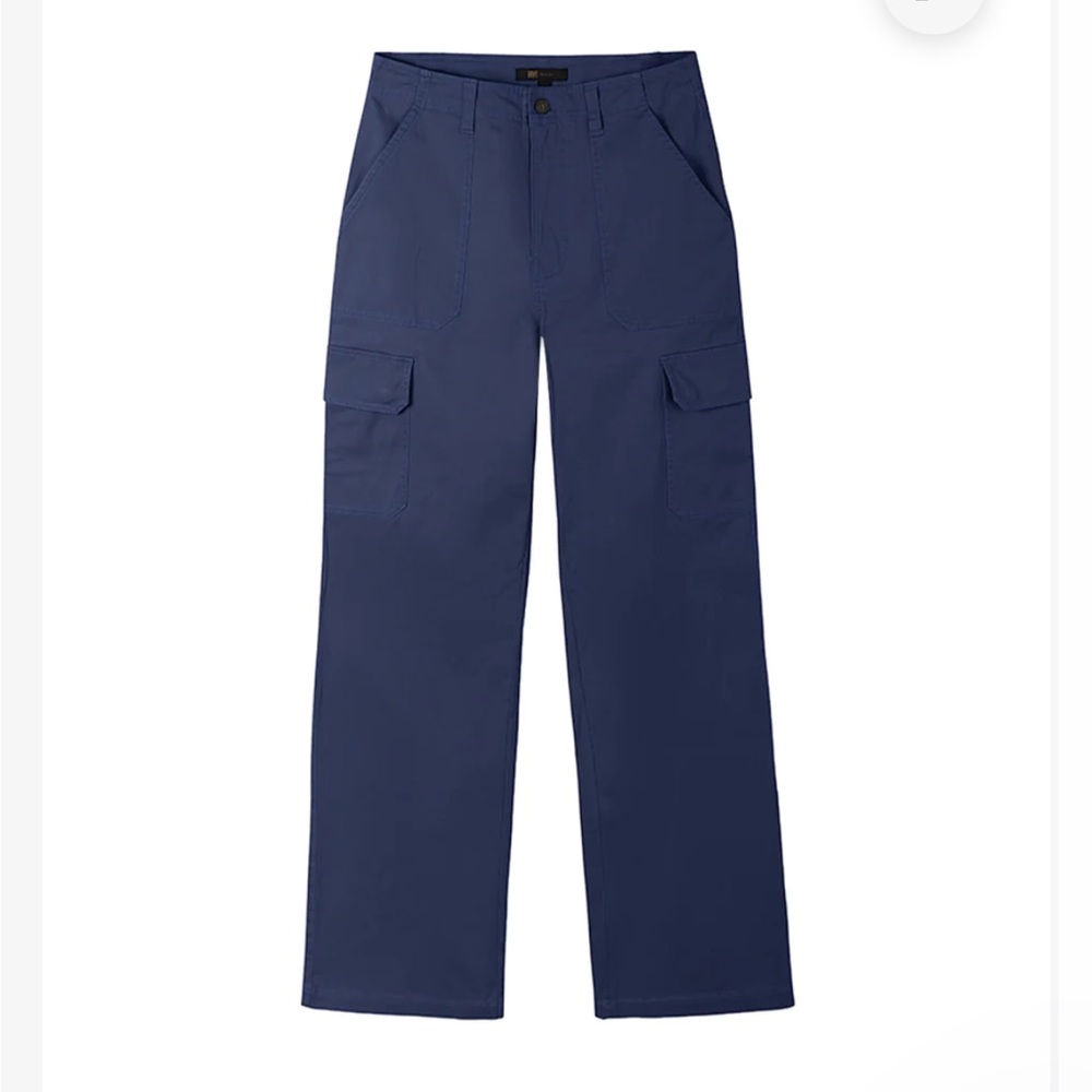 Size 12 Frye navy pants